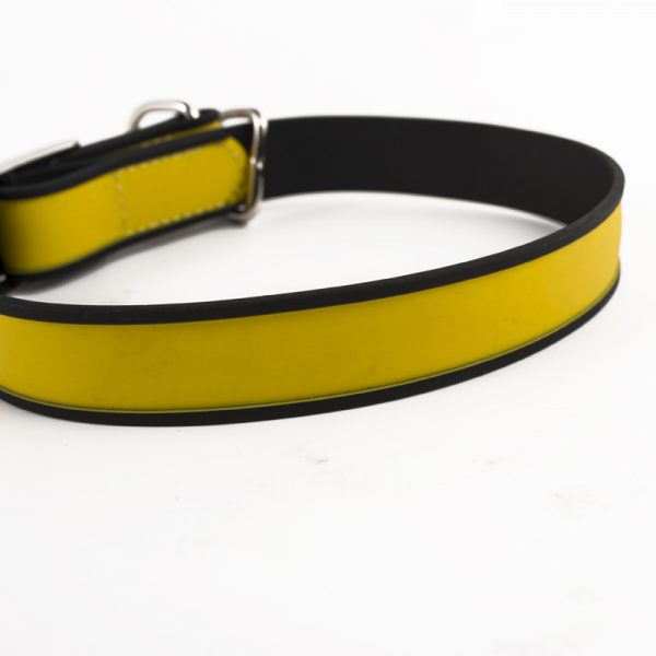 dog chain collar (10)