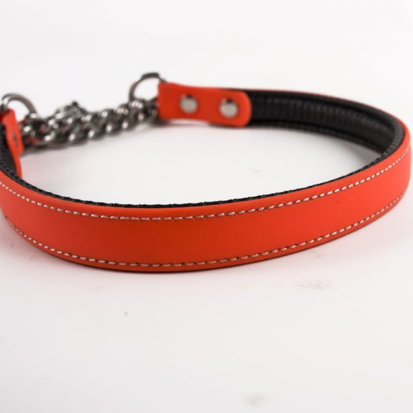 dog chain collar (5)
