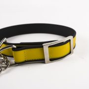 dog chain collar (9)
