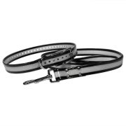 Hunting accessories for the waterproof dog collar and leash