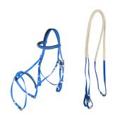 horse bridles and reins
