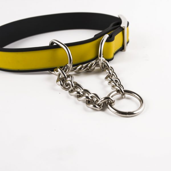 dog chain collar (8)